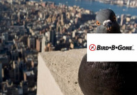 Bird B Gone