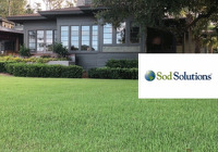 Sod Solutions