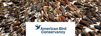 American Bird Conservancy American Bird Conservancy