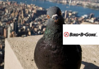Bird B Gone