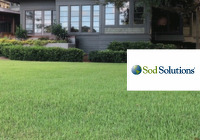 Sod Solutions