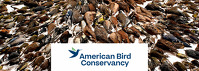 American Bird Conservancy