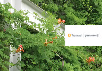 Tournesol Siteworks