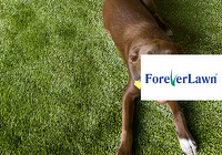 ForeverLawn
