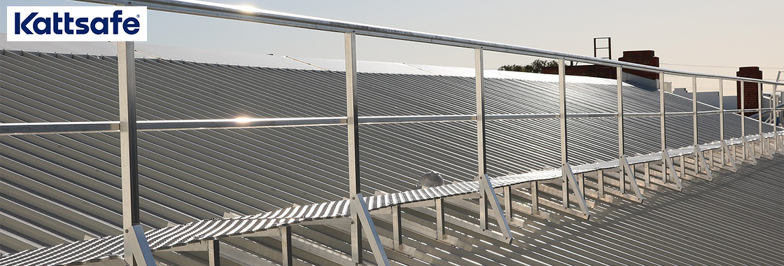 The Rooftop Environment: Designing for Safe Access and Fall Protection