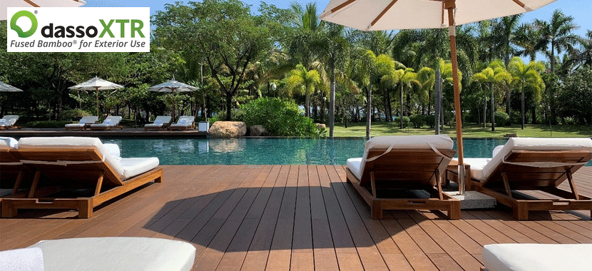 Bamboo: A Sustainable Choice for Building Materials