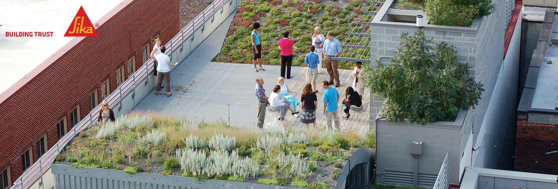 Green Roofs: A Sustainable Strategy