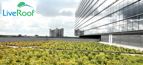 Green Roof Design Considerations