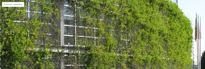 Considerations for Advanced Green Façade Design