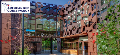 Bird-Friendly Building Design