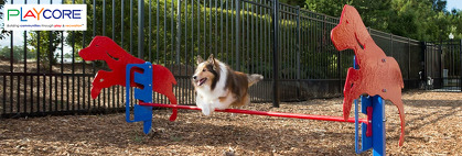 Unleashed: Off-Leash Dog Park Design Trends and Planning Tips