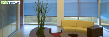 Biomimicry: Design by Nature