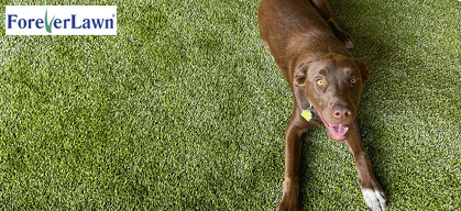 Synthetic (Artificial) Grass Specifically Designed for Dogs