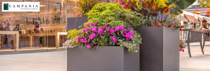 Commercial Planters: Selection Considerations & Material Options