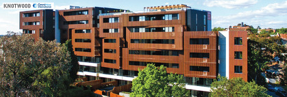 Wood-Patterned Aluminum Products: Innovative Design Solutions