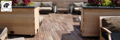 Biophilic Design & Rooftop Deck Systems: A Natural Connection