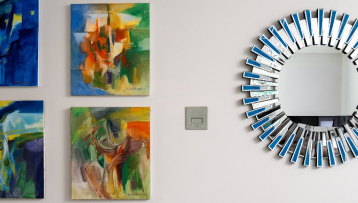 Plumis Manufacturers of Automist