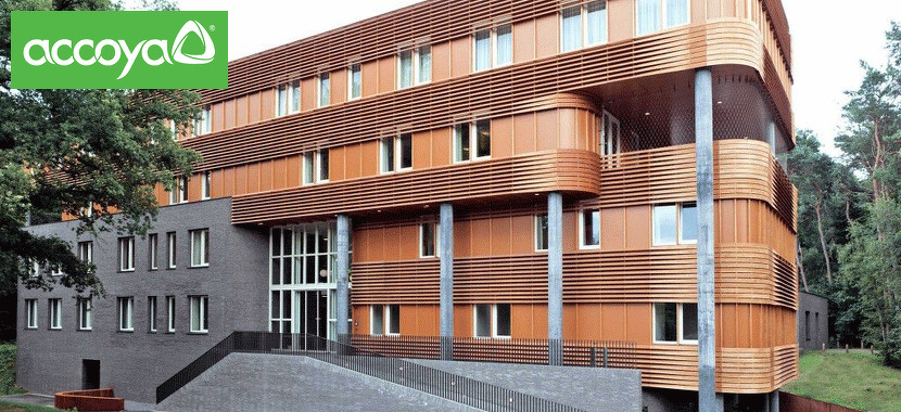 Acetylated Wood: Durable, Stable, Sustainable Wood for Windows, Doors & Siding