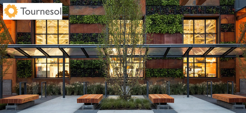 Greening the Amenity Deck Greening the Amenity Deck